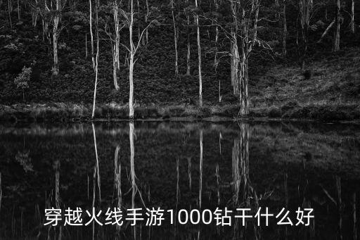 穿越火线手游1000钻干什么好