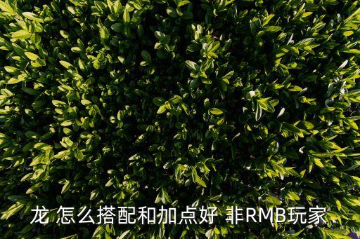 龙 怎么搭配和加点好 非RMB玩家