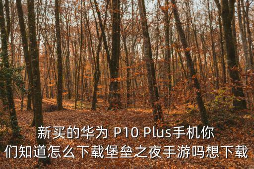 新买的华为 P10 Plus手机你们知道怎么下载堡垒之夜手游吗想下载