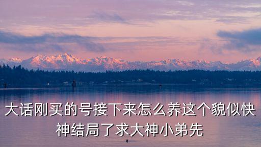 大话刚买的号接下来怎么养这个貌似快神结局了求大神小弟先