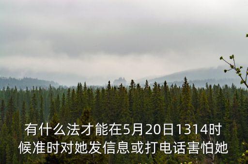 有什么法才能在5月20日1314时候准时对她发信息或打电话害怕她