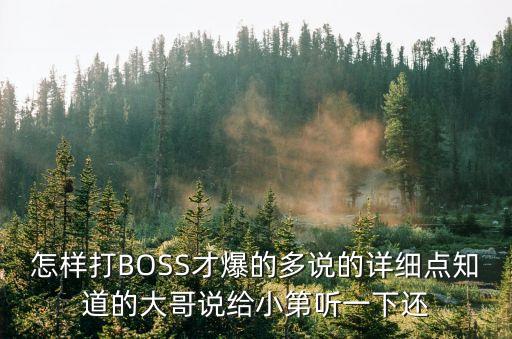 怎样打BOSS才爆的多说的详细点知道的大哥说给小第听一下还