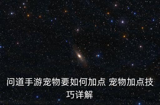 问道手游宠物要如何加点 宠物加点技巧详解