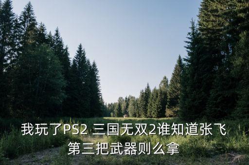 我玩了PS2 三国无双2谁知道张飞第三把武器则么拿