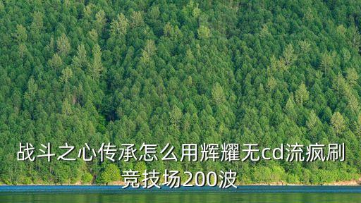 战斗之心传承怎么用辉耀无cd流疯刷竞技场200波