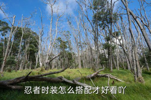 火影手游博人时装怎么穿上去，怎么将火影里的图片印在衣服上