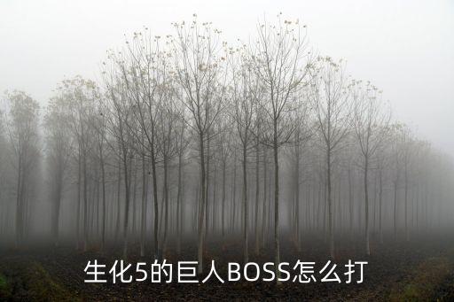 生化5的巨人BOSS怎么打