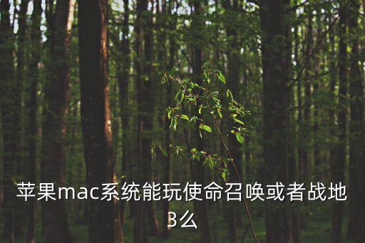 苹果mac系统能玩使命召唤或者战地3么