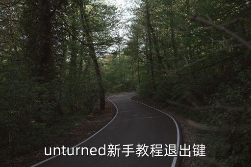 unturned新手教程退出键