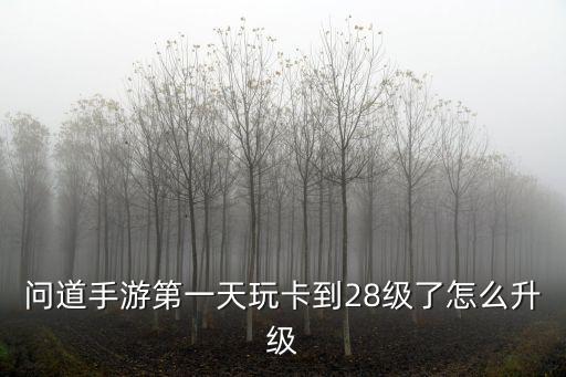 问道手游第一天玩卡到28级了怎么升级