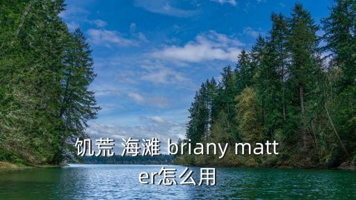 饥荒 海滩 briany matter怎么用