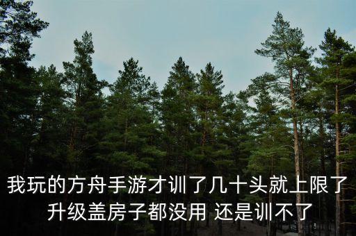 方舟手游pve建筑满了怎么办，方舟生存进化PVE服务器建筑物多少时间会自毁