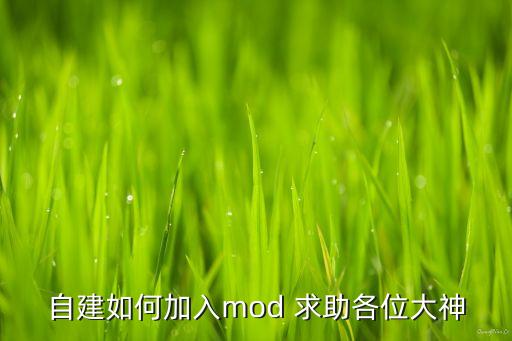 自建如何加入mod 求助各位大神