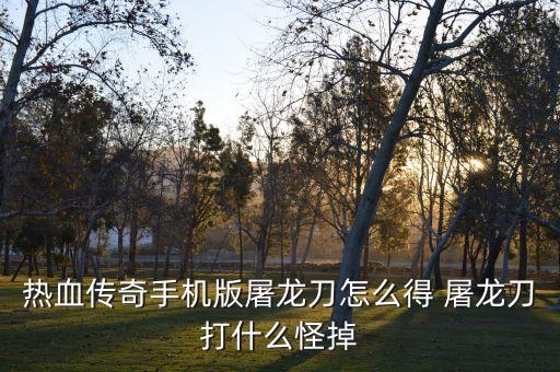 热血传奇手机版屠龙刀怎么得 屠龙刀打什么怪掉