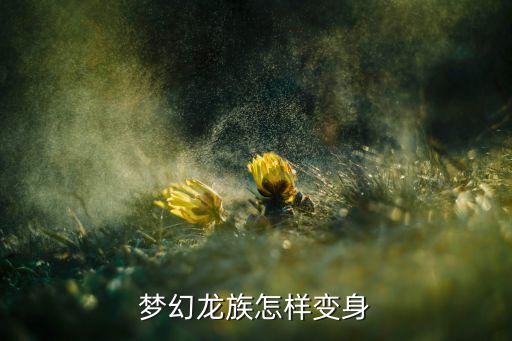 梦幻龙族怎样变身