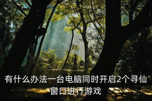 电脑上怎么双开寻仙手游，寻仙游戏如何一台电脑同时登陆两个号码