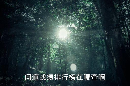 问道战绩排行榜在哪查啊