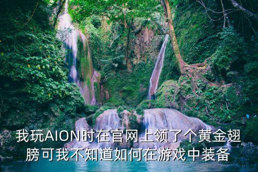 我玩AION时在官网上领了个黄金翅膀可我不知道如何在游戏中装备