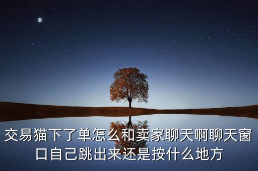 交易猫下了单怎么和卖家聊天啊聊天窗口自己跳出来还是按什么地方