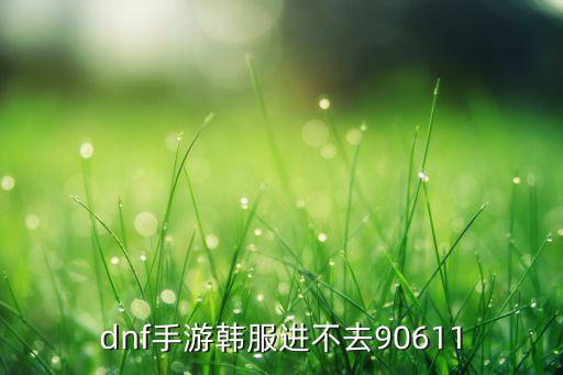 dnf手游韩服进不去90611