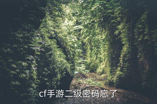 cf手游二级密码忘了