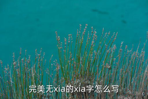 完美无xia的xia字怎么写