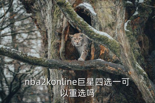 nba2konline巨星四选一可以重选吗