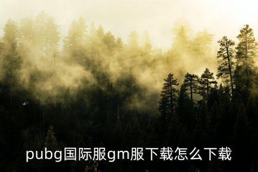 pubg国际服gm服下载怎么下载