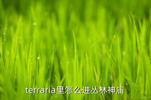 terraria里怎么进丛林神庙