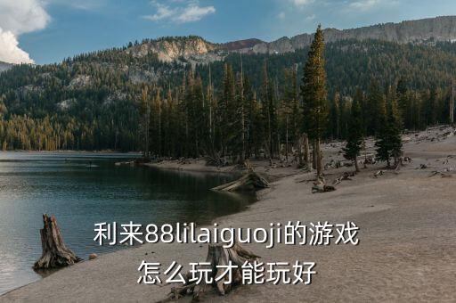 利来88lilaiguoji的游戏怎么玩才能玩好