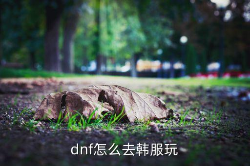 dnf怎么去韩服玩