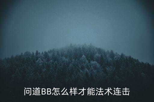 问道BB怎么样才能法术连击