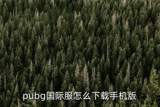 pubg国际服怎么下载手机版