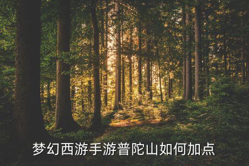 梦幻西游手游普陀山如何加点