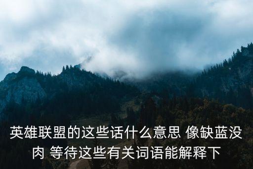 英雄联盟的这些话什么意思 像缺蓝没肉 等待这些有关词语能解释下