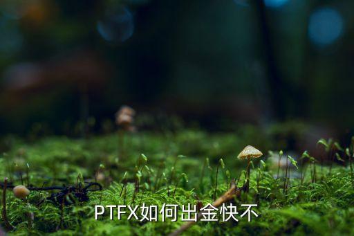 PTFX如何出金快不