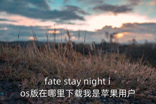 fate stay night ios版在哪里下载我是苹果用户