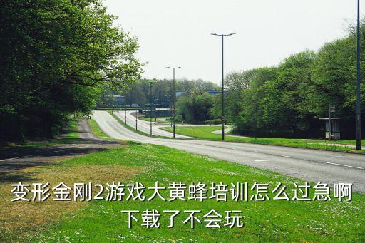 变形金刚2游戏大黄蜂培训怎么过急啊下载了不会玩