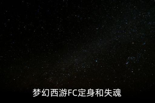 梦幻西游FC定身和失魂