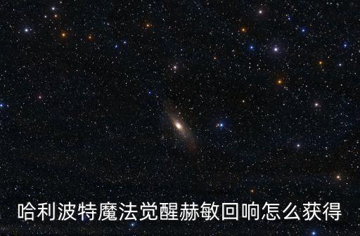 哈利波特魔法觉醒赫敏回响怎么获得