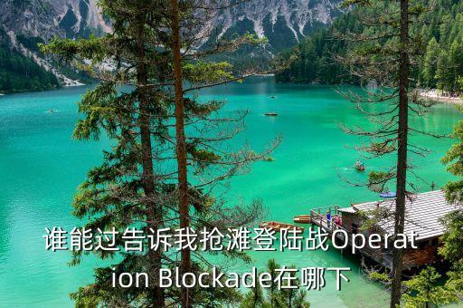 谁能过告诉我抢滩登陆战Operation Blockade在哪下