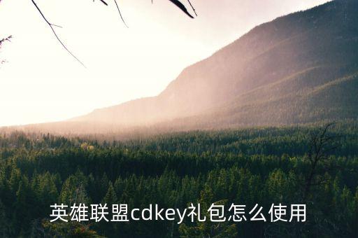 英雄联盟cdkey礼包怎么使用