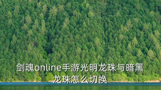 剑魂online手游光明龙珠与暗黑龙珠怎么切换