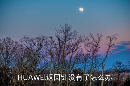 HUAWEl返回键没有了怎么办