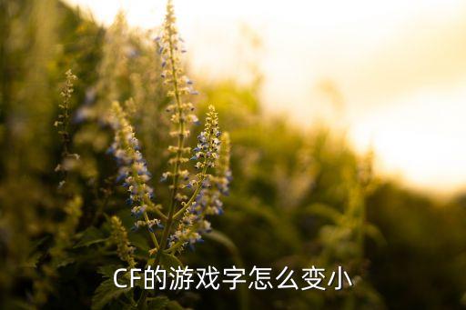 CF的游戏字怎么变小