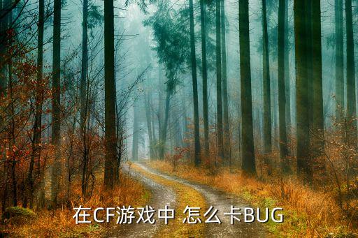 在CF游戏中 怎么卡BUG