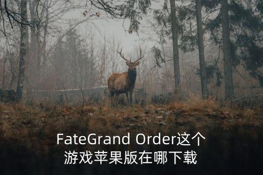 FateGrand Order这个游戏苹果版在哪下载