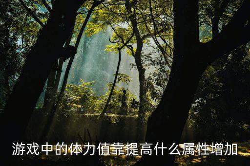 游戏中的体力值靠提高什么属性增加