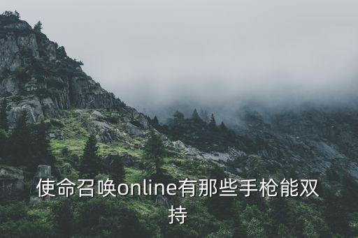 使命召唤online有那些手枪能双持