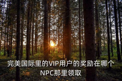 完美国际里的VIP用户的奖励在哪个NPC那里领取